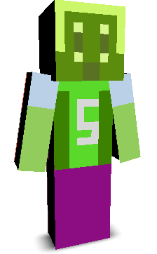 User's Minecraft appearance