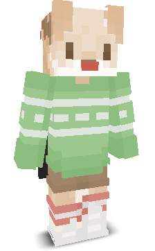 User's Minecraft appearance