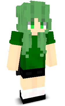 User's Minecraft appearance