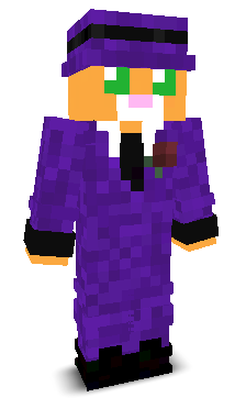 User's Minecraft appearance