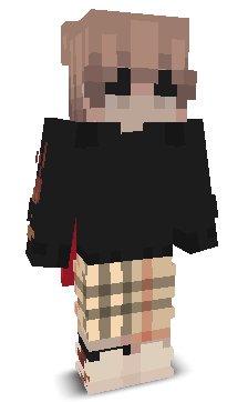 User's Minecraft appearance