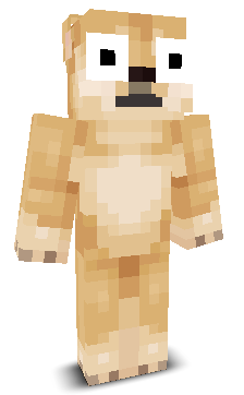 User's Minecraft appearance