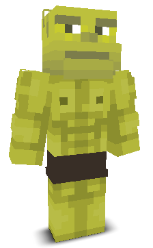 User's Minecraft appearance