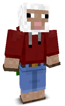 User's Minecraft appearance