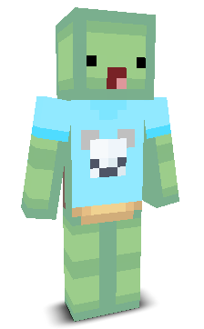 User's Minecraft appearance