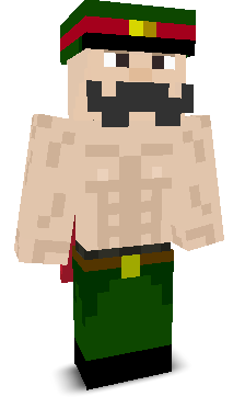 User's Minecraft appearance