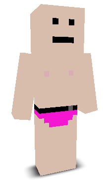 User's Minecraft appearance
