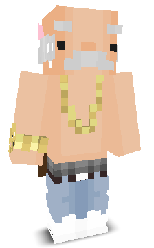 User's Minecraft appearance