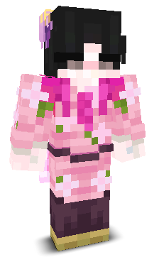 User's Minecraft appearance
