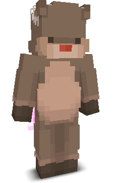 User's Minecraft appearance