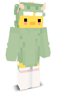 User's Minecraft appearance