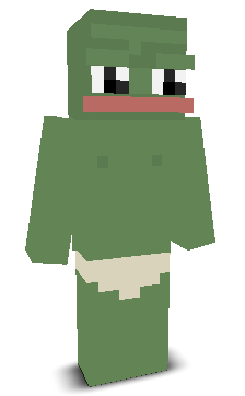 User's Minecraft appearance