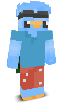 User's Minecraft appearance