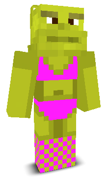 User's Minecraft appearance