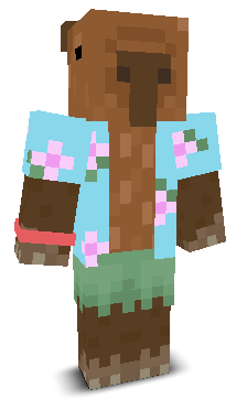 User's Minecraft appearance
