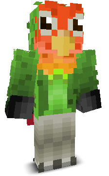 User's Minecraft appearance