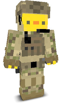 User's Minecraft appearance