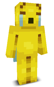 User's Minecraft appearance
