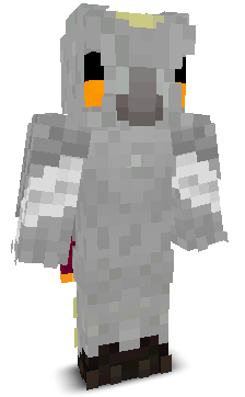 User's Minecraft appearance
