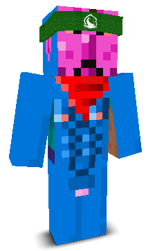 User's Minecraft appearance