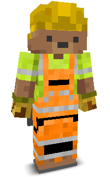User's Minecraft appearance