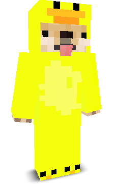 User's Minecraft appearance