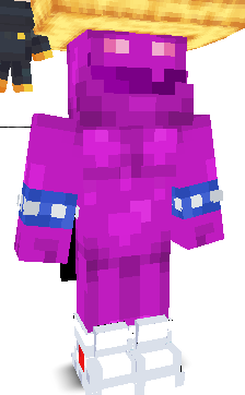 User's Minecraft appearance
