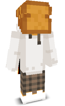 User's Minecraft appearance