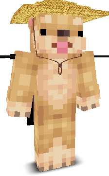 User's Minecraft appearance