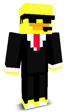 User's Minecraft appearance