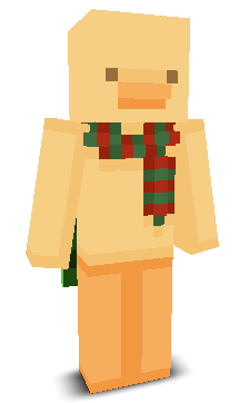 User's Minecraft appearance