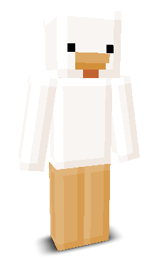 User's Minecraft appearance