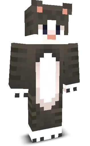 Front angle of Minecraft Skin of Ycar_