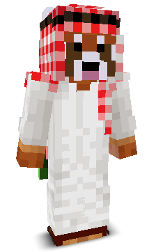 User's Minecraft appearance