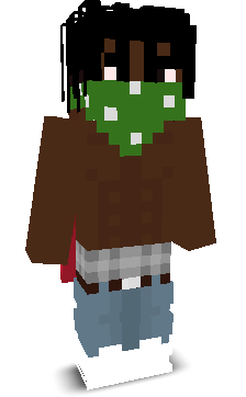 User's Minecraft appearance