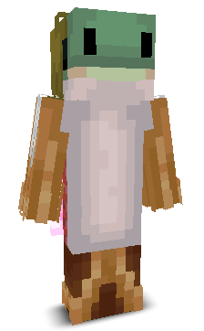 User's Minecraft appearance