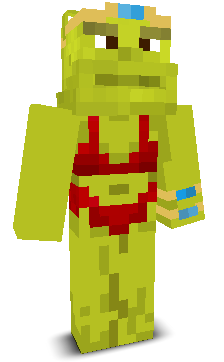 User's Minecraft appearance