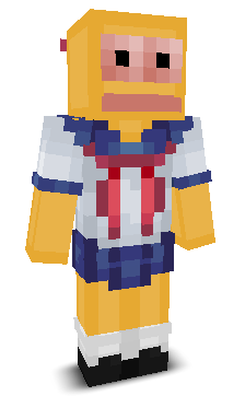 User's Minecraft appearance