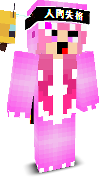 User's Minecraft appearance