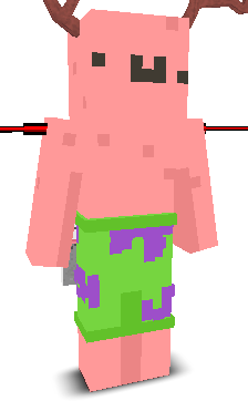 User's Minecraft appearance