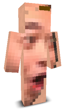User's Minecraft appearance