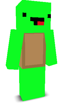 User's Minecraft appearance