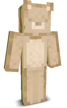 User's Minecraft appearance