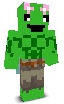 User's Minecraft appearance