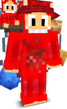 User's Minecraft appearance