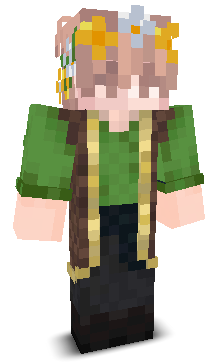 User's Minecraft appearance