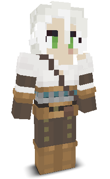 User's Minecraft appearance