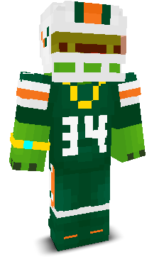 User's Minecraft appearance