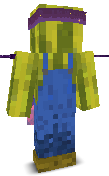 User's Minecraft appearance