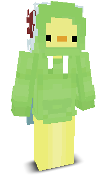 User's Minecraft appearance